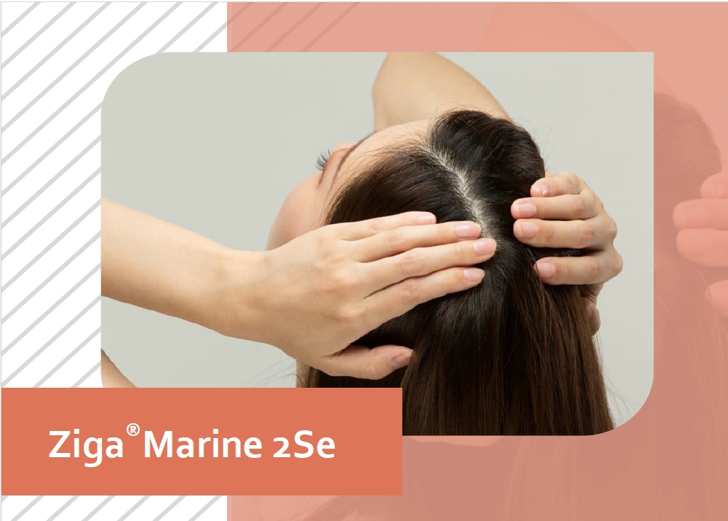 Discover Ziga® Marine 2Se: GIGA’s Highlight at in-cosmetics Asia 2024
